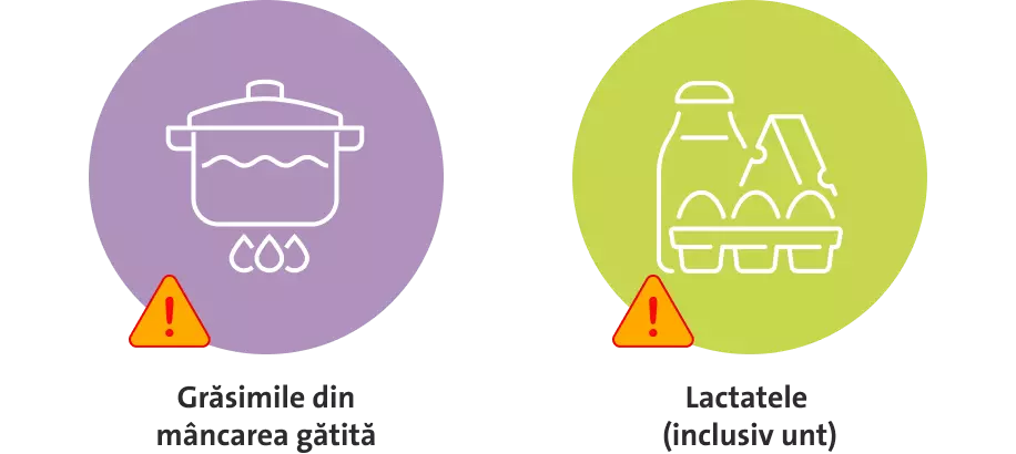 Ilustratie grasimi si lactate