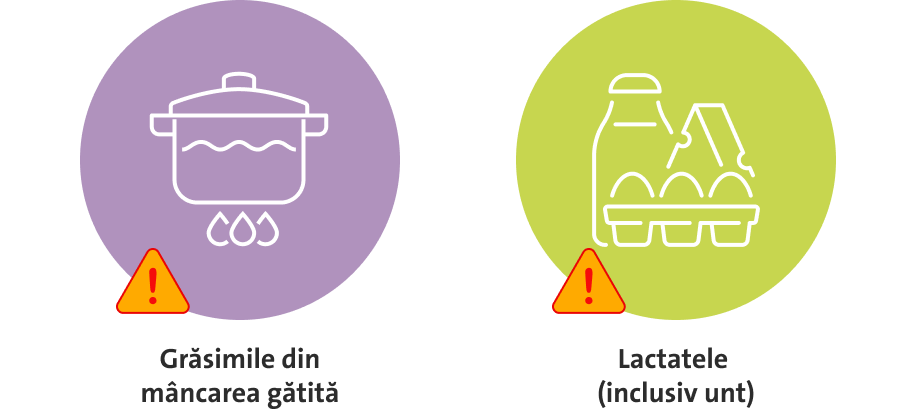 Ilustratie grasimi si lactate